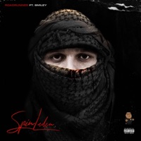 Spinladen (feat. Smiley & 6ixbuzz) - Single - Road Runner