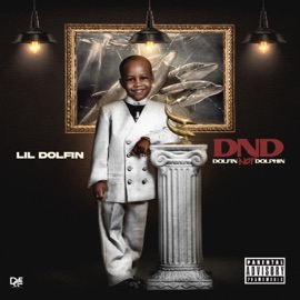 No T-Shirt (feat. K3) Lil Dolfin