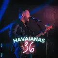 Havaianas 36
