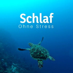 Schlaf: Ohne Stress durch die Nacht (Wassergeräusche, Regen, Meer, entspannende tibetanische Glocken und weißes Rauschen)