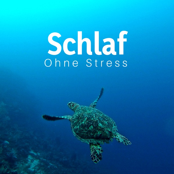 Schlaf: Ohne Stress durch die Nacht (Wassergeräusche, Regen, Meer, entspannende tibetanische Glocken und weißes Rauschen)