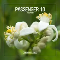 Amalfi (Extended Mix) — Passenger 10
