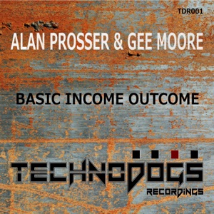 Basic Income Outcome - Single