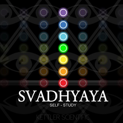 Meditation (feat. Alan Watts) - Single