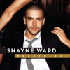 Melt The Snow - Shayne Ward