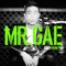 Mr.Gae (feat. Juvie Train & Kye Bum Zu) - GARY lyrics