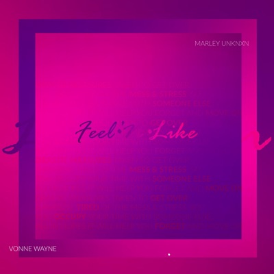Feelin' Like - Single
