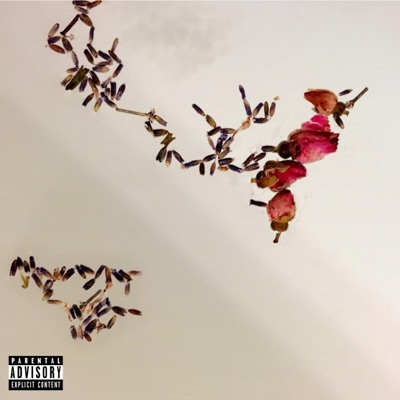 Not in a car! - Single