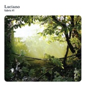fabric 41: Luciano (DJ Mix) artwork