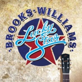 Brooks Williams - Bright Side of the Blues