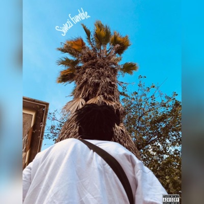 Siwezi Fumble - Single