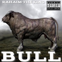 Bull - Single - Rahaim the King