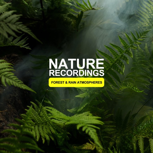 Nature Recordings - Forest & Rain Atmospheres - EP