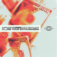 Curb Your Enthusiasm - Single - Charlie Blaze