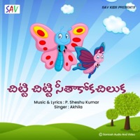 Chitti Chitti Seethakokachiluka - Single - Akhila