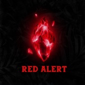 Red Alert (Kamran747 Remix) artwork