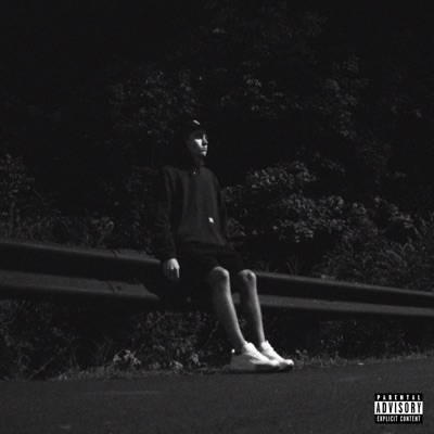 When I'm Gone - Single