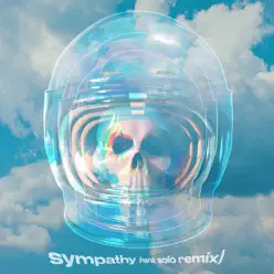 Sympathy (feat. Rainsford) [Hank Solo Remix] - Single - Twin Shadow