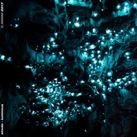 Luminous - Single - shxde