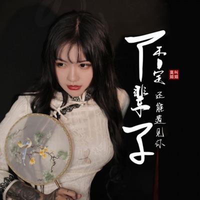 Song - 下辈子不一定还能遇见 (吉他版) - 莫叫姐姐