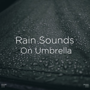 !!!" Rain Sounds on Umbrella "!!!