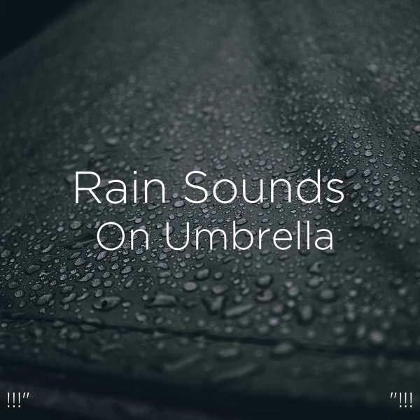 !!!" Rain Sounds on Umbrella "!!!