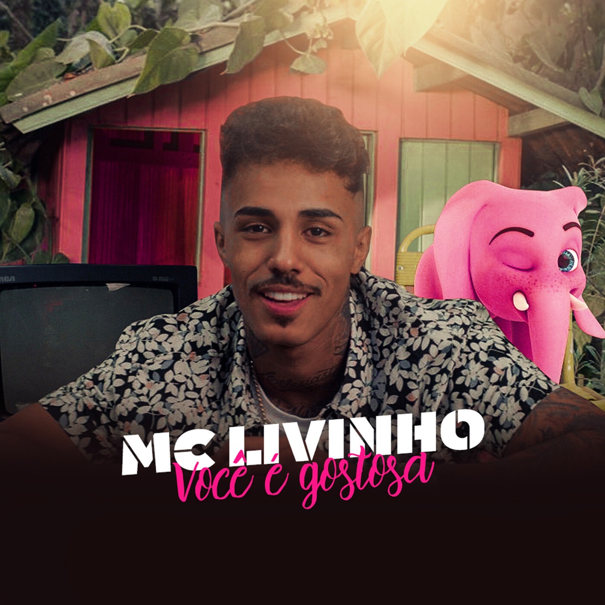PÁGINAS – Album par MC Livinho – Apple Music