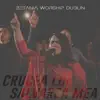 CRUCEA LUI SALVAREA MEA