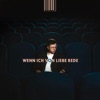 Wenn ich von Liebe rede by Fabian Wegerer iTunes Track 1