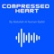 Compressed Heart - Abdullah Al Numan Radid lyrics