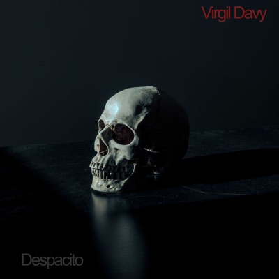 Song - The Little Princess - Virgil Davy