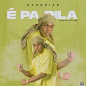 É Pa P**a artwork