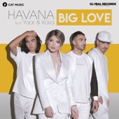 Big Love (feat. Yaar & Kaiia) [Orbel Remix] artwork