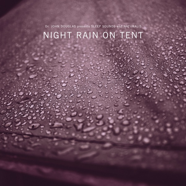 Night Rain on Tent