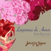Yaritza Zayas - Lágrimas De Amor