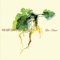 Can You Hear Nature Sing? (feat. Zoë Bestel) - Dot Allison lyrics