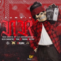 Cumbia NR (feat. Yeiko, Pingüino & MC Pipo) - Single - Gelss Elmounztro
