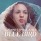 Little Bird - Jasmine Cephas Jones lyrics