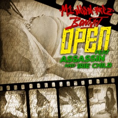 Open (feat. Assassin & Irie Child) - Single
