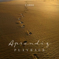 Aprendiz (Playback) - Single - Gabro