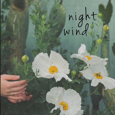 Night Wind - Single