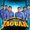 Locos por Amor - Fernando Tlapale Y Su Grupo Jaguar lyrics