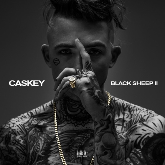 Cover artwork for Dpwm