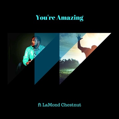 You're Amazing (feat. LaMond Chestnut) - Single