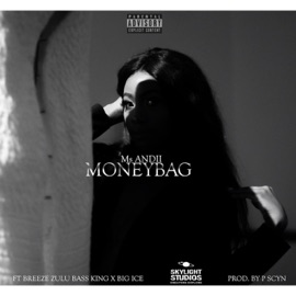 MoneyBag (feat. Breeze Zulu Bass King & BIG ICE) Ms Andii