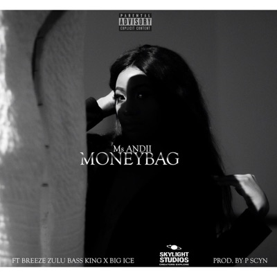 MoneyBag (feat. Breeze Zulu Bass King & BIG ICE) - Single
