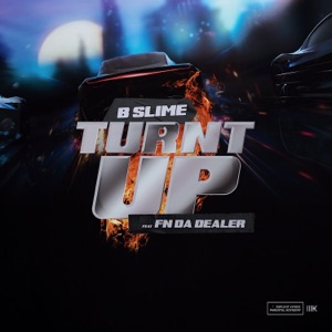 Turnt Up (feat. FN DaDealer) - Single