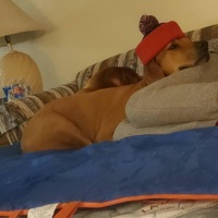 Love Song Pt. 2 (feat. EricGodlowBeats) - Single - G.A.K.B.