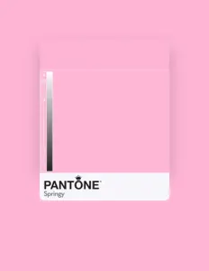 Pantoneを聴いたり、ミュージックビデオを鑑賞したり、経歴やツアー日程などを確認したりしましょう！
