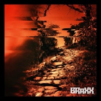 The Fall - Single - Braxx